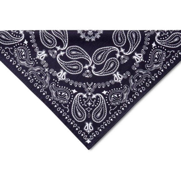 NWT- Levi's Classy Paisley Pet Bandana - Picture 2 of 3
